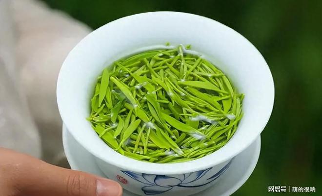 爱喝茶的人不管什么茶牢记“万能”泡茶口诀让你的茶醇香甘甜(图11)