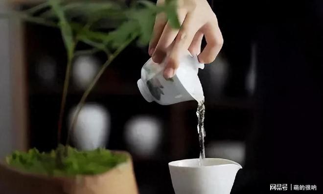 爱喝茶的人不管什么茶牢记“万能”泡茶口诀让你的茶醇香甘甜(图4)