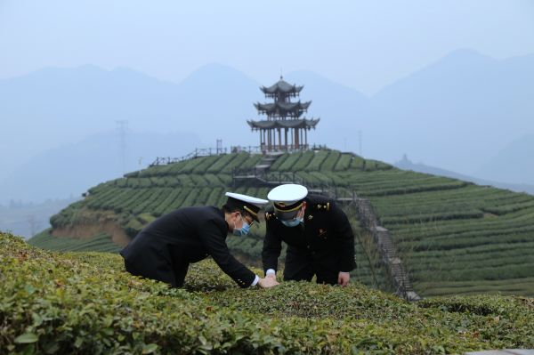 进军奶茶界库迪推出“茶猫”寻求突破