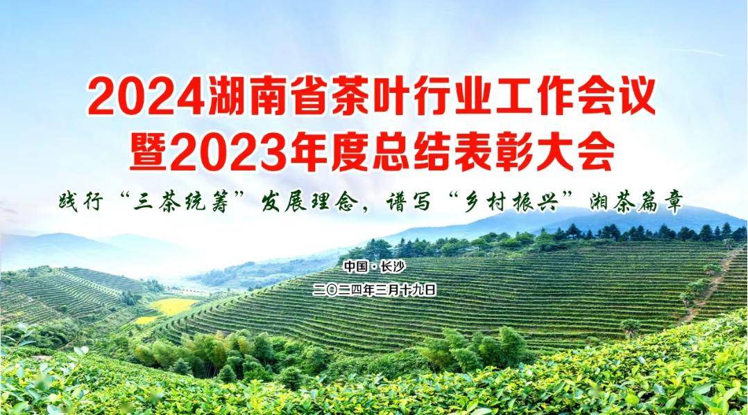 2024湖南省茶叶行业工作会议暨2023