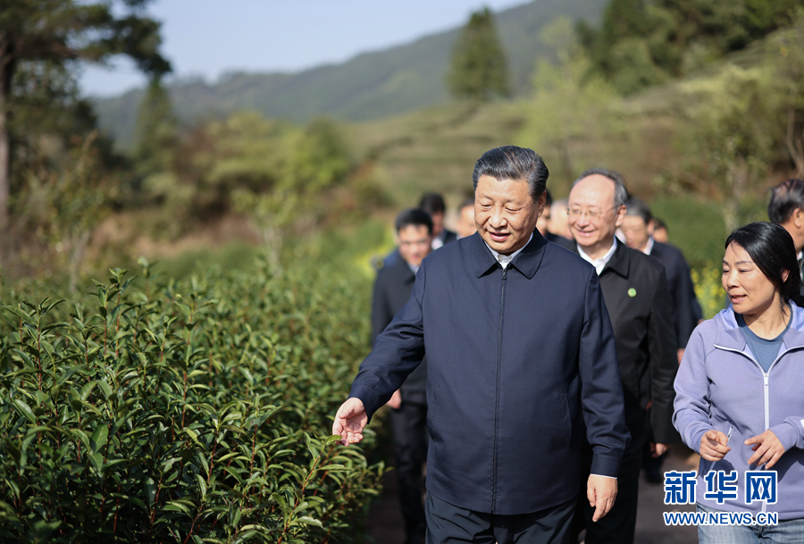 学习进行时丨习的“茶之道”(图1)