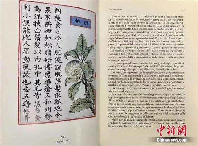 向世界敬一杯“武夷茶”汉学家赞称茶是中华文明的圣物(图7)