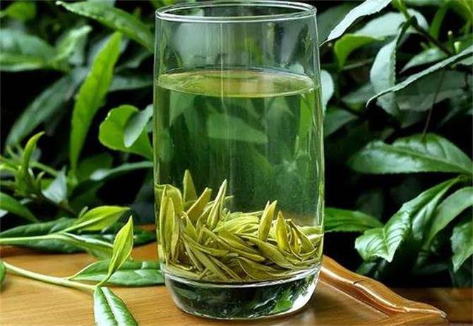 绿茶什么茶好喝一点？这6种茶你喝过几种你