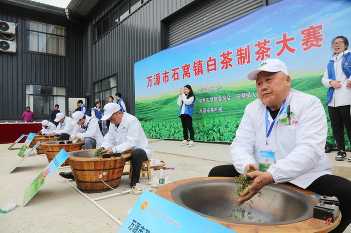 以茶為媒 文旅共富 四川萬源吹響茶葉產業升級號角(图2)