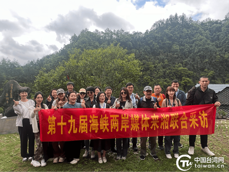 于一盏香茗之间品味湘西茶香四溢的两岸情